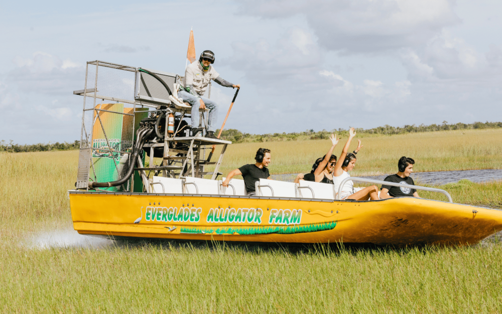 Experience the Everglades like never before on a high-speed airboat tour, spot native wildlife, including alligators, wading birds, and more.