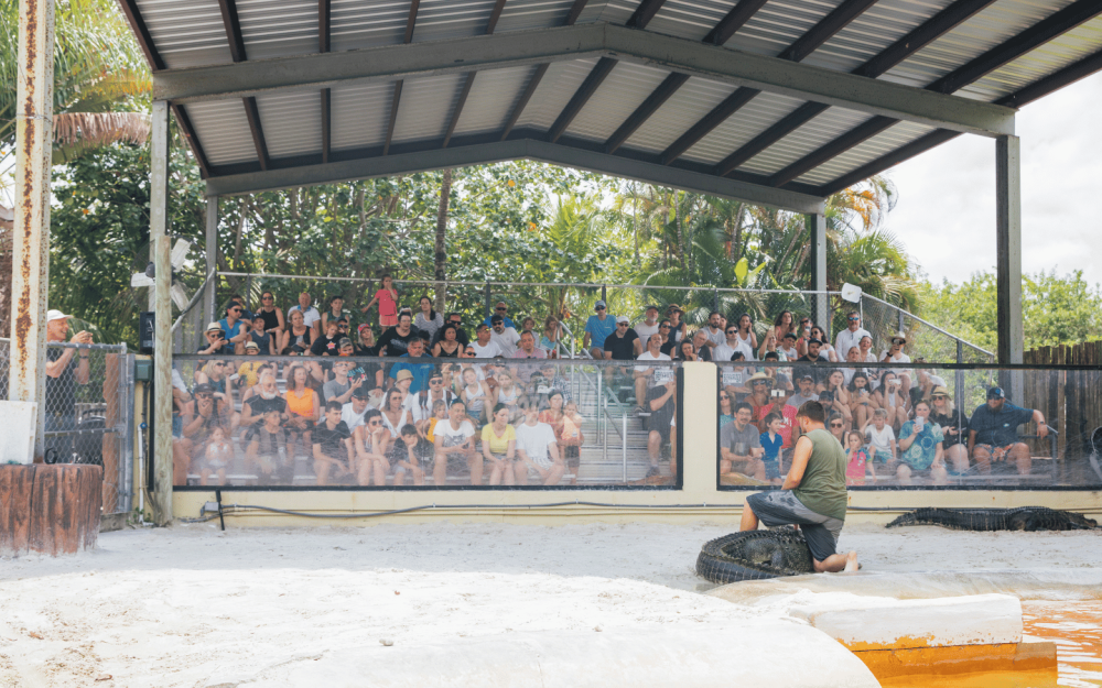 Join us for the Alligator Handling Show, where our expert handlers demonstrate safe and skilled techniques for working with these powerful creatures.