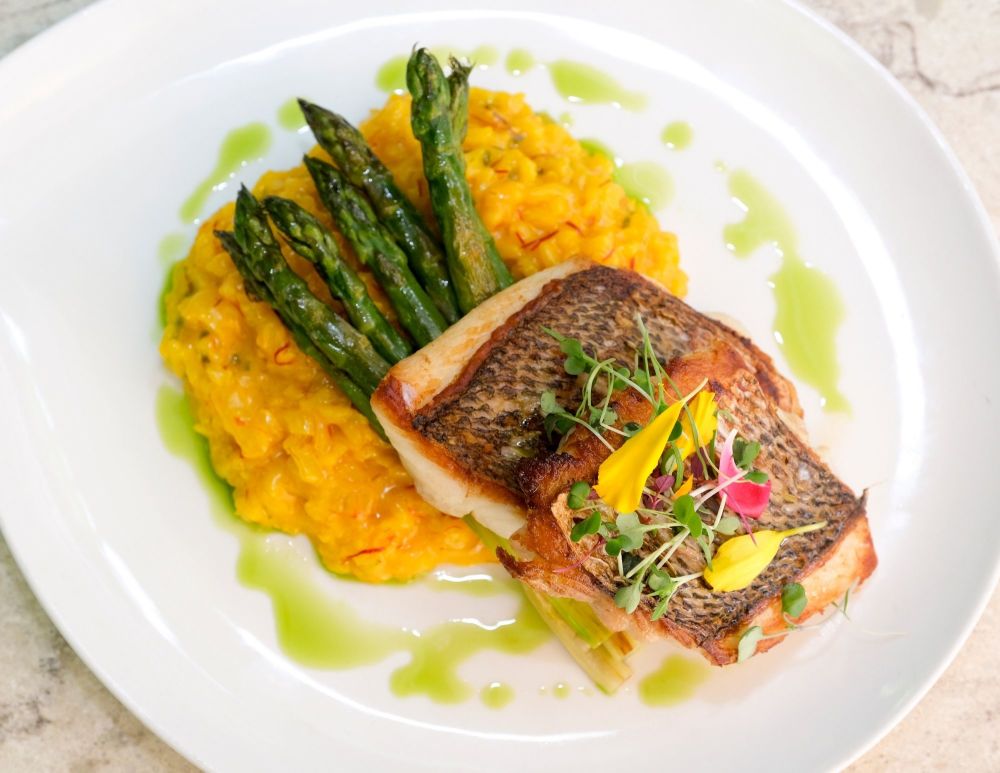 Essensia Yellowtail Snapper