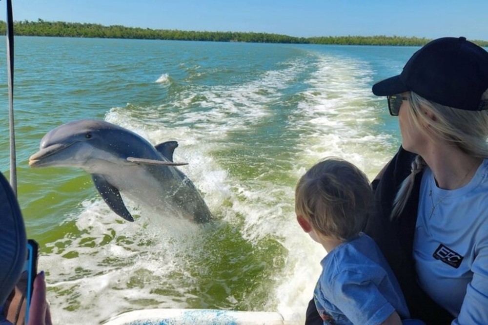 The dolphins often follow our boat in the 10,000 islands!