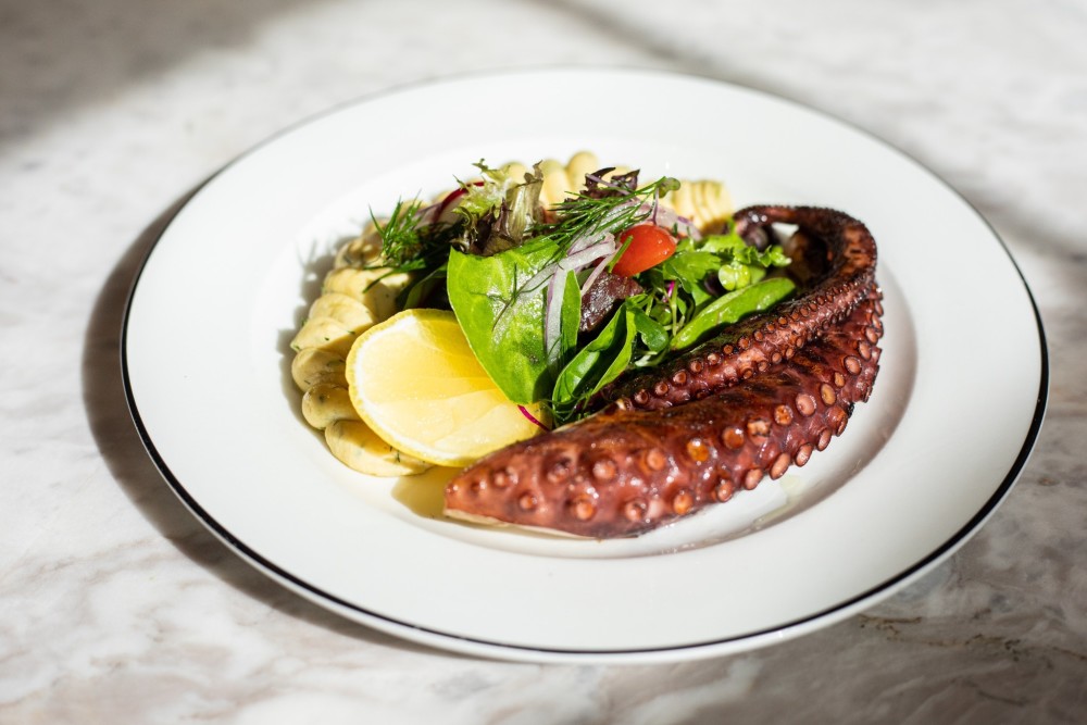 Grilled Octopus