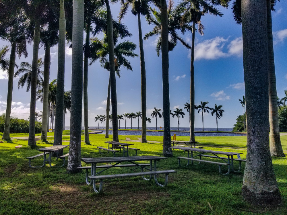 Palm Grove Picnic area