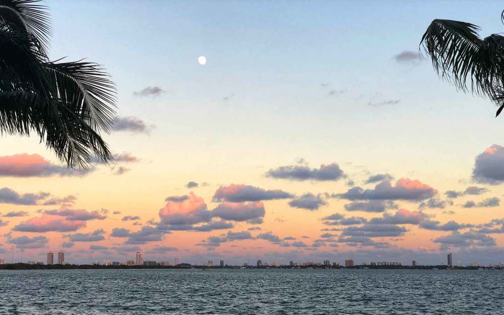 This is the view as you look out from the restaurant to the Biscayne Bay.