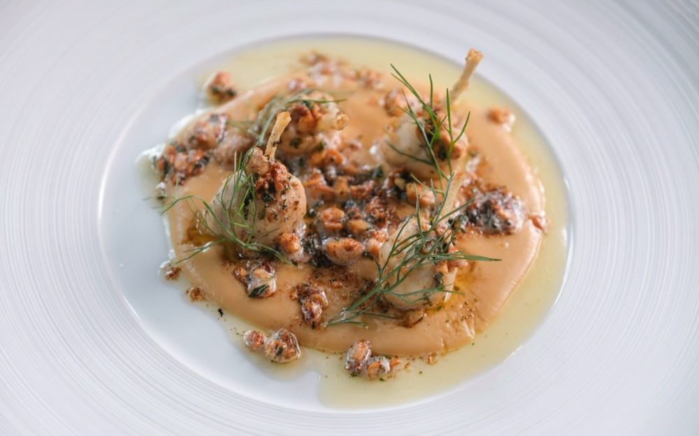 Almondine, Celery Root Veloute