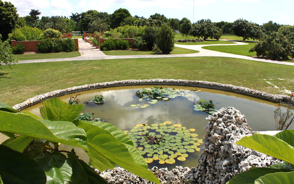 Fruit & Spice Park pond