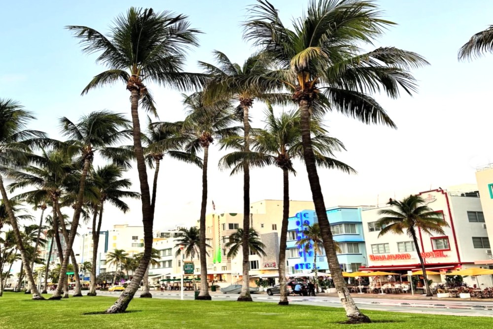 Avalon Hotel Ocean Drive