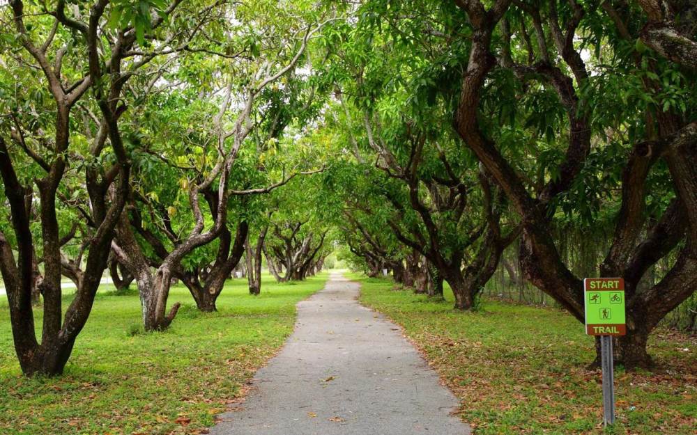 Sendero del parque Larry y Penny Thompson