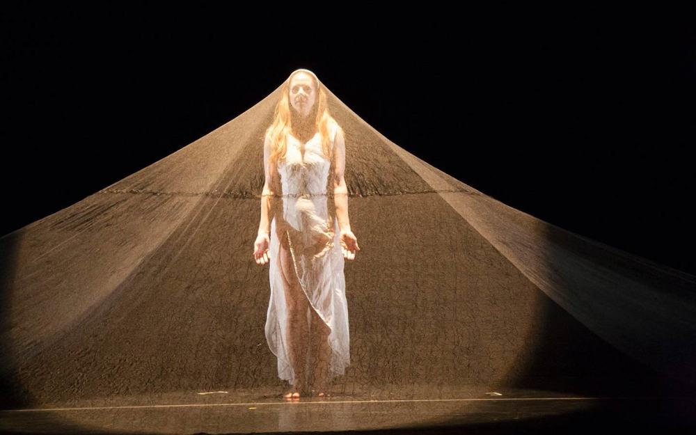 Momentum Dance Company