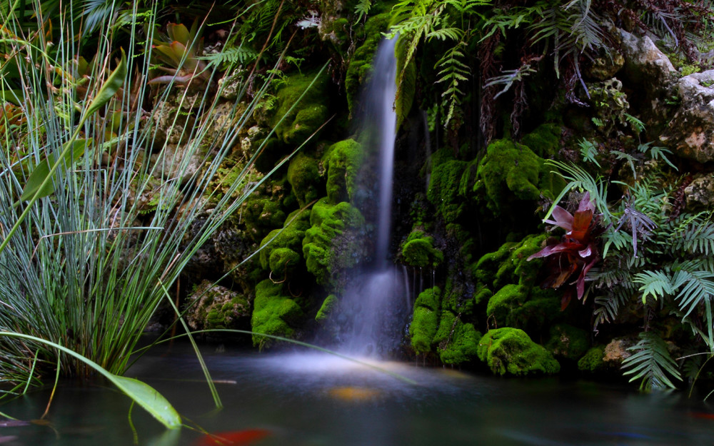 Garden waterfall