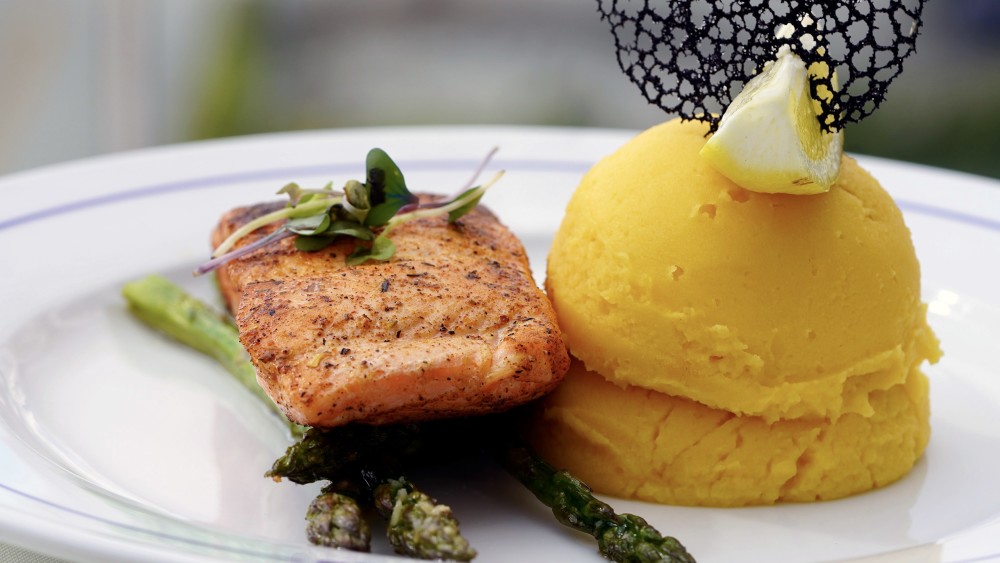 Salmon