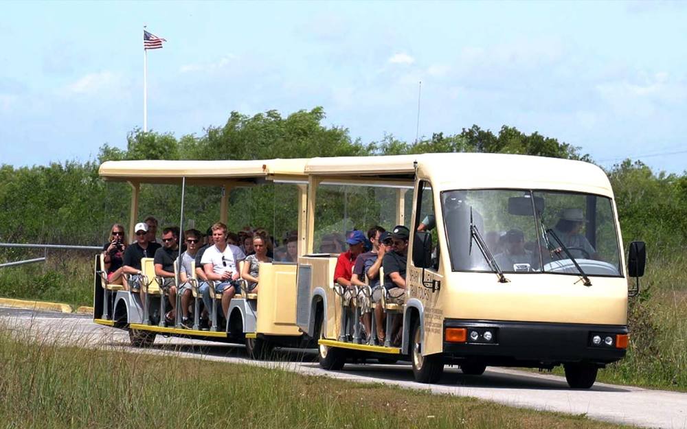 Tram Tour at Shark Valley