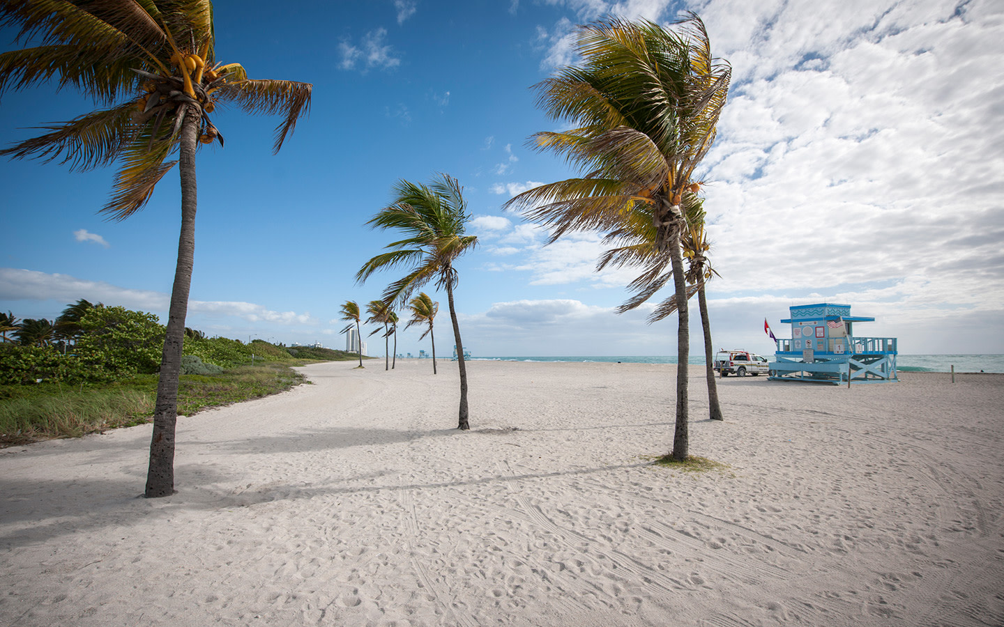 Haulover Park Beach | Greater Miami & Miami Beach