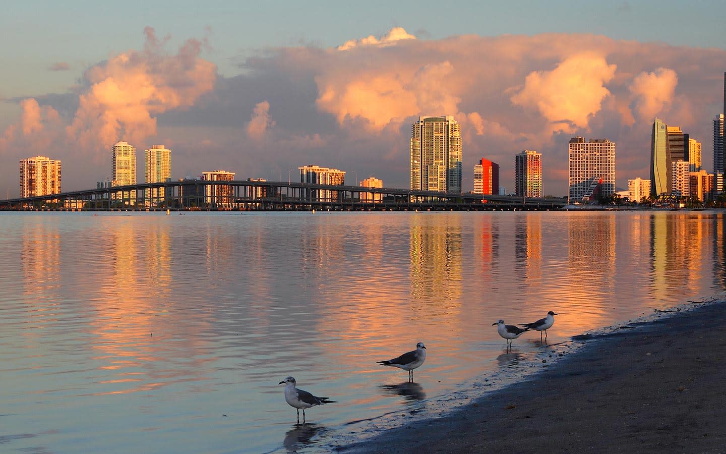 Baia di Biscayne: La nostra acqua Il nostro mondo | Grande Miami e