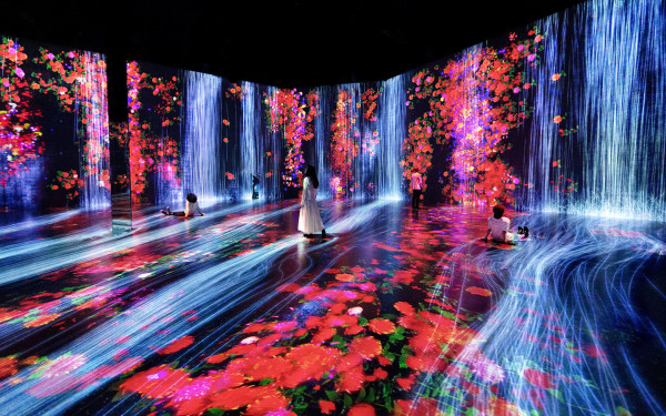 TeamLab «Цветы и люди не поддаются контролю»