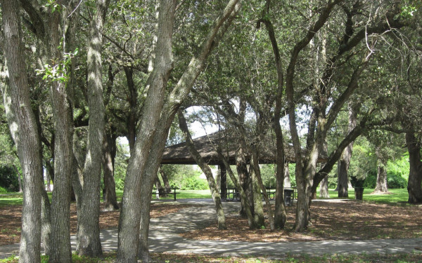 Parco delle querce rotolanti