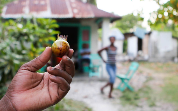 Haiti Ritmo del nostro battito cardiaco: Lo spirito di Konbit