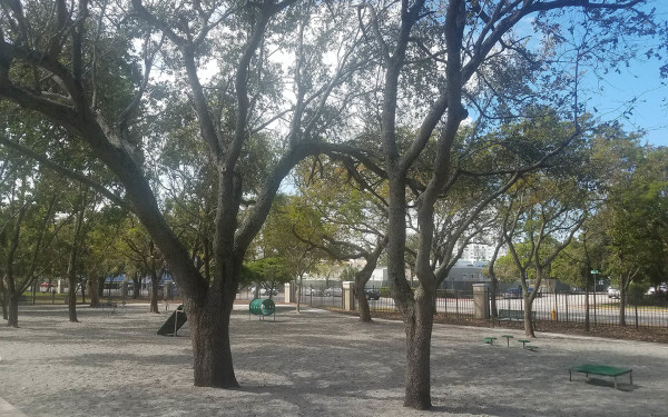 North Beach Oceanside Park photo by Maika Moulite