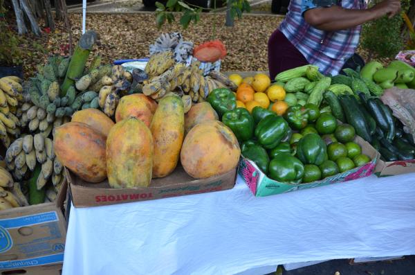 Pinecrest Gardens Farmers Market
