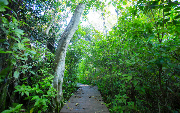 Bill Sadowski Park & Nature Center