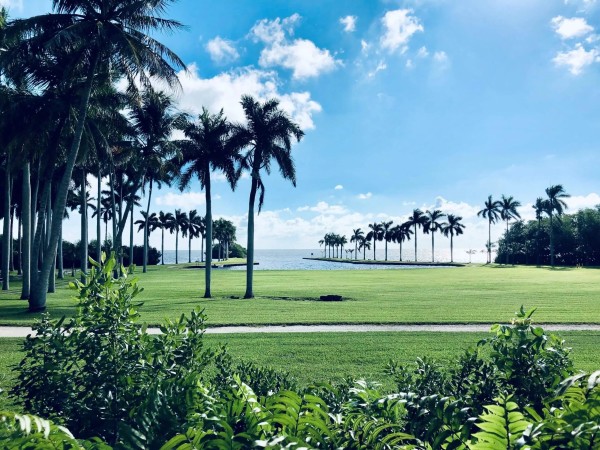 Labor Day Weekend at the Deering Estate photo