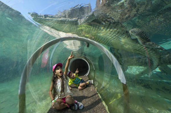 50% Off Admission