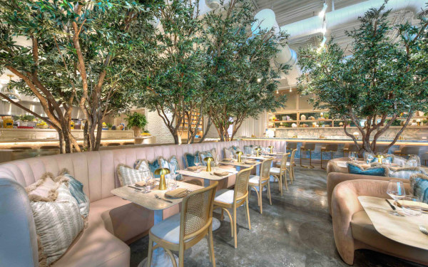 Abbalé Telavivian Kitchen - Aventura