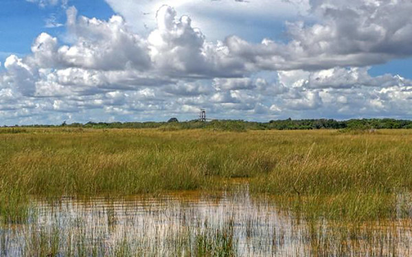 30% off Flamingo BackCountry Boat Tour