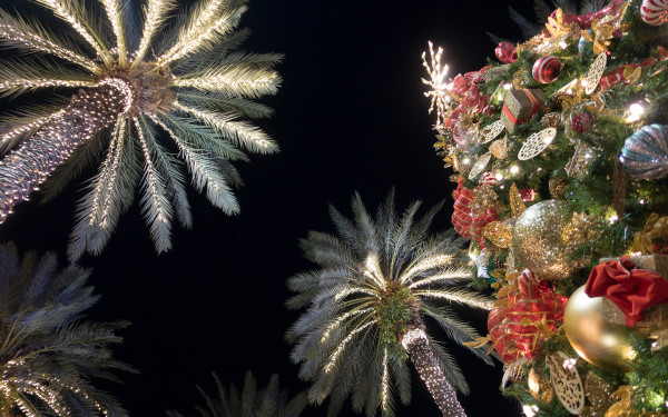 Celebrate “Día de Hialeah” at Christmas Wonderland at Tropical Park