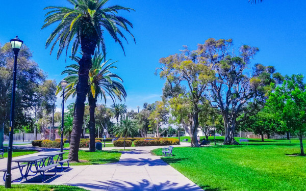 Flamingo Park