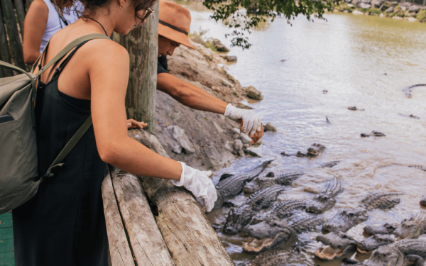 The Wildest BOGO of the Year: Buy One, Get One Alligator Encounter!