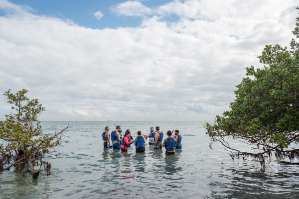Crandon Park Hike & Snorkel Excursion