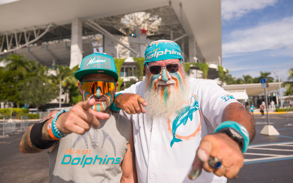 Miami Dolphins vs. Detroit Lions photo