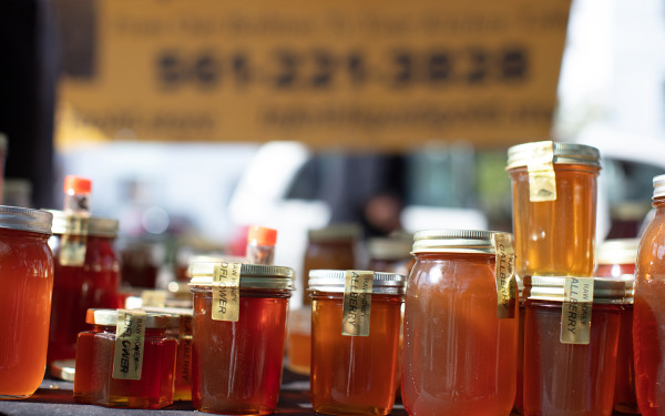 Coconut Grove Organic Farmers Market