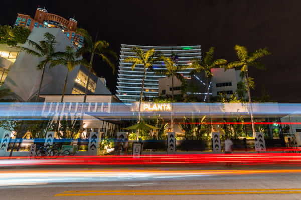 Planta South Beach