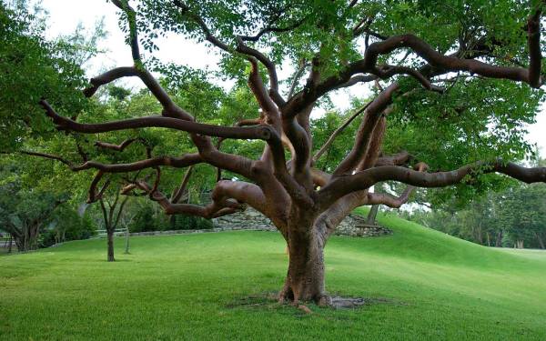 Miami-Dade County Parks, Recreation and Open Spaces | Miami et Miami Beach