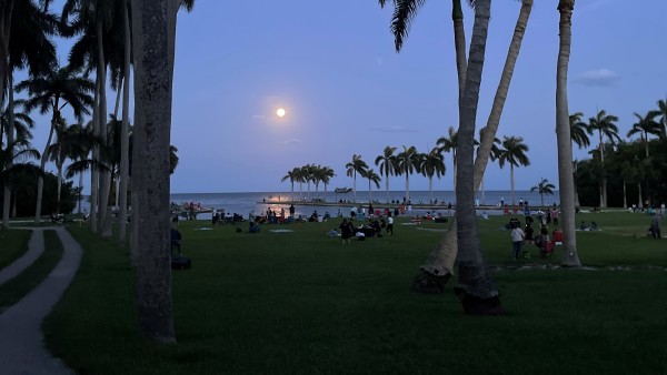 Moon Viewing photo