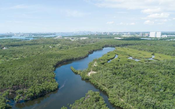 Oleta River State Park