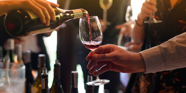 Uncorked: Barolo Wine Tasting