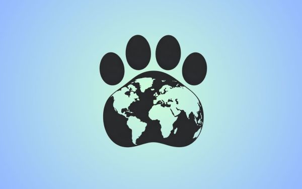 Feline Visions: International Cat Salon Exhibit Opening