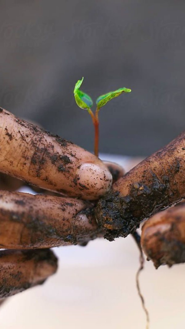 Té Nou - The Earth Is Ours Environmental Justice Summit