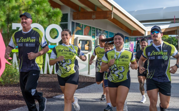 ZooRun photo