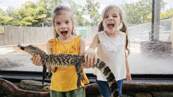 Explore Miami: Half-Off Kids Adventure