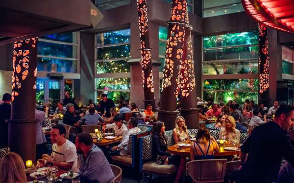 Komodo Signature Dining Experience