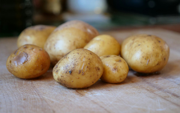 The Humble Potato: A 10-Course Tasting Experience