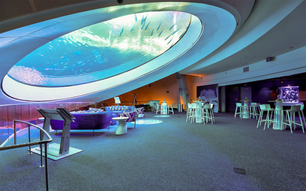 Rainbow Spring: nightLAB at the Museum