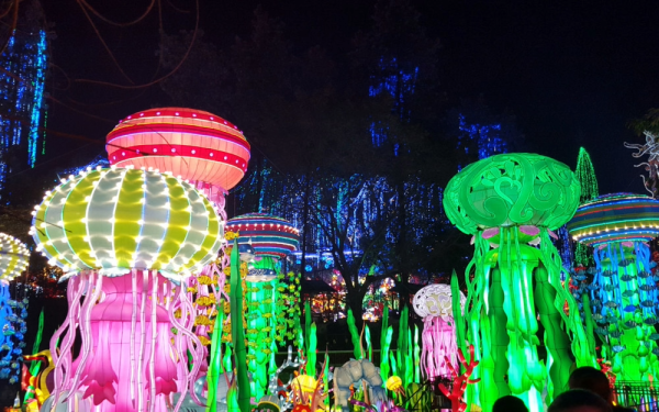 Step Into the Glow: Luminosa — 20% Off Select Ticket Packages