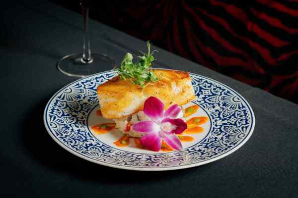 pan-seared chilean sea bass / creamy risotto / roasted red pepper coulis