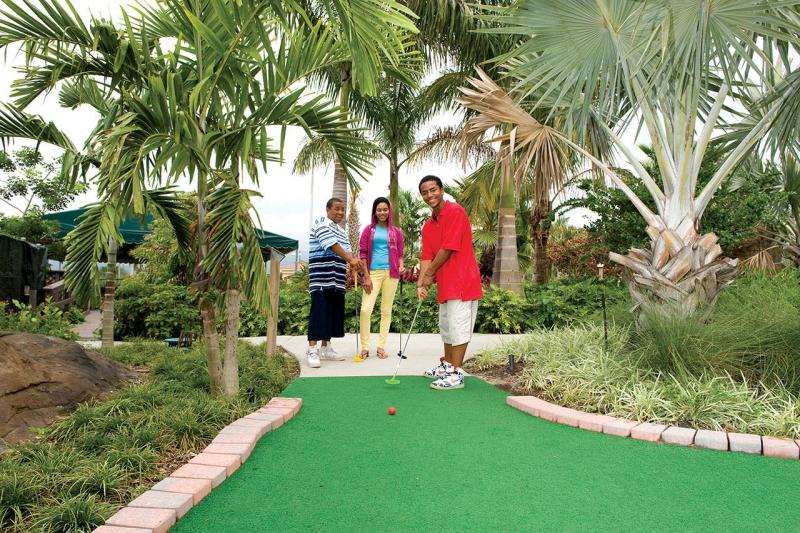 Palmetto Mini Golf