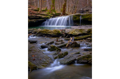 Nine Penny Branch Nature Preserve