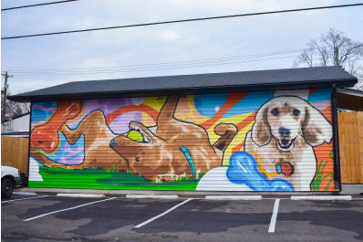 Bark Jeff two dogs